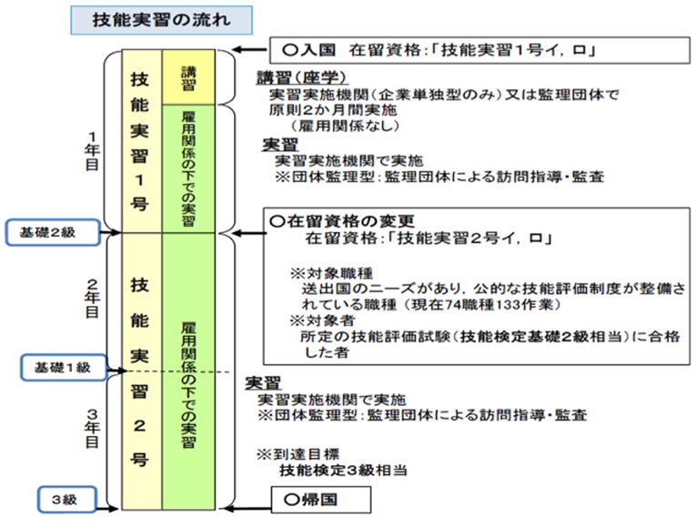 技能実習の流れ